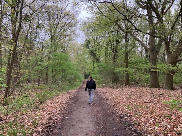 Schoonloo Stacaravan Huren In Het Hart Van Bosrijk Drenthe Op Recreatiepark De Tien Heugten מראה חיצוני תמונה