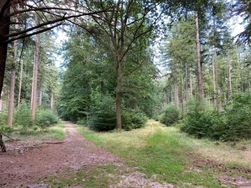 Schoonloo Stacaravan Huren In Het Hart Van Bosrijk Drenthe Op Recreatiepark De Tien Heugten מראה חיצוני תמונה