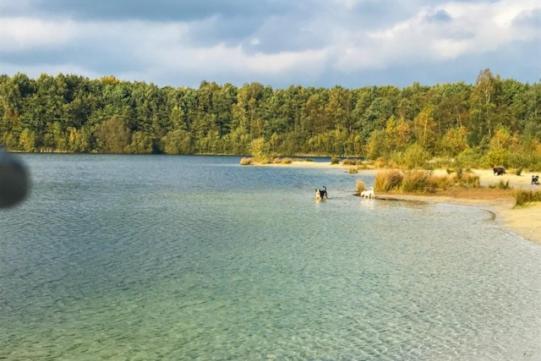 Schoonloo Stacaravan Huren In Het Hart Van Bosrijk Drenthe Op Recreatiepark De Tien Heugten מראה חיצוני תמונה